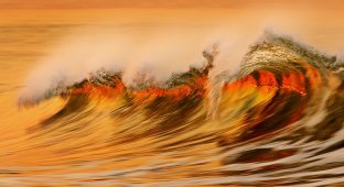 Золотые волны Калифорнии (18 фото)