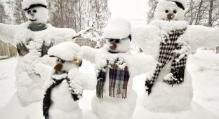 Снеговики (21 фотография)