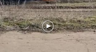 Глава Николаевской ОВА Виталий Ким опубликовал видео горящей техники оккупанта