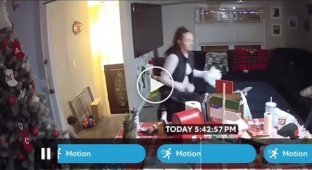 Коли дитина пішла в маму