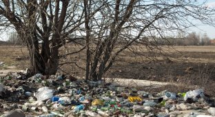 Безукоризненная чистота и порядок, Тульская область (12 фото)