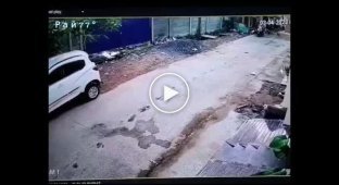 Motorcyclist fleeing from stray dogs rammed a car in India