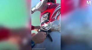 Мужчина спас черепаху, запутавшуюся в пластике