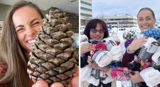 The girl tried to exchange a pine cone for something useful: that's what happened (12 photos)