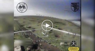 Kamikaze Drone Chases Russian Invader to Death in Field