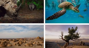 National Geographic, Фотографии, природа (8 фото)