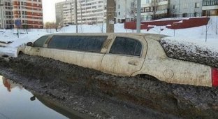 В Казани под растаявшим сугробом обнаружили лимузин (3 фото)