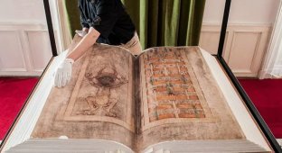 What's Hidden in the "Devil's Bible": A Pact with the Prince of Darkness or the Herculean 30-Year Work of a Lone Monk? (5 photos)
