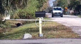 Парни подшутили над почтальоном