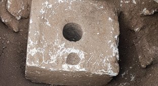 В иерусалимских туалетах нашли древнейшие случаи заражения кишечными лямблиями (3 фото)