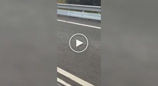 Лежачий поліцейський в Австралії