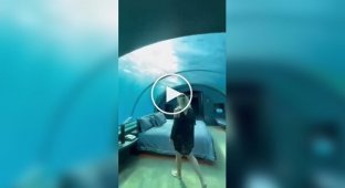 Номер отеля с видом на подводный мир