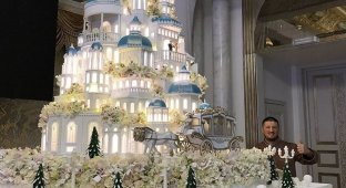 Торт российского кондитера поразил воображение казахстанцев (6 фото)