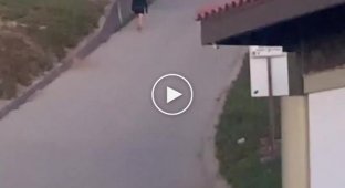 Skateboarding down the slope, then only by ambulance