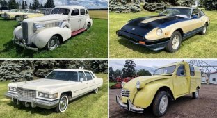 A collection of 230 cars was put up for auction (17 photos)