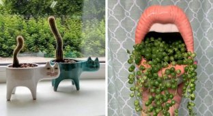15 случаев, когда люди превратили скучные горшки для растений в настоящие арт-объекты (16 фото)