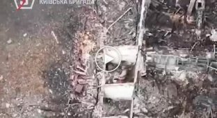 Drones destroy enemy infantry in shelters in the Pokrovsk direction