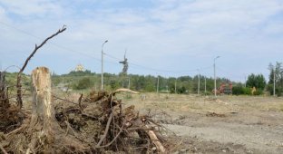 В Волгограде вырубили последние деревья Мемориального парка у Мамаева кургана (9 фото)