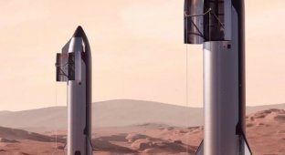 Elon Musk unveiled a painting of stations on Mars