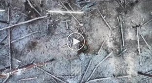 Ukrainian drones drop grenades on Russian infantry in Serebryansky Forest
