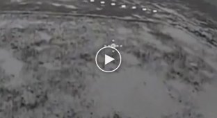 Прилет украинского дрона-камикадзе по скоплению российских военных на Купянском направлении