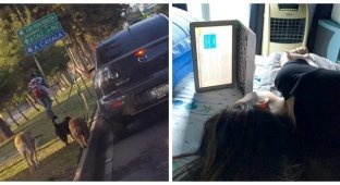 20 Hilarious Examples of When Laziness Won Out (21 photos)