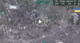 Again war crimes by the Russians: The occupiers shot two captured Ukrainian soldiers