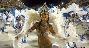 Карнавал в Рио 2008 (21 фотография)