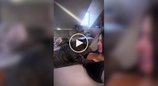 Girls (short videos). Issue 31