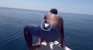 A man jumps on a shark in an attempt to ride it