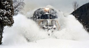 Фотографії поїздів (45 фото)