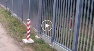 На границе Польши и Белоруссии мужчина попытался сломать польский пограничный столб