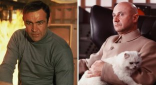 TOP 10 best James Bond films according to viewers (10 photos)