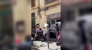В Барселоне жители начали устанавливать колючую проволоку на балконах