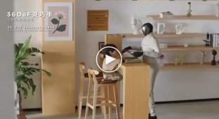 The Chinese have created a robot that replaces a nanny, courier, and housekeeper