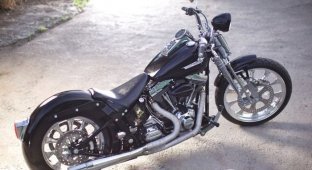 Постройка кастомного байка из Harley Davidson (13 фото)