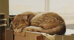  Рисованные коты (20 картинок)