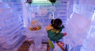 Ледяная галерея в Южной Корее (6 фото)