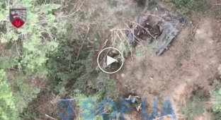 Донецкая область, украинский дрон сбрасывает гранаты на российских военных