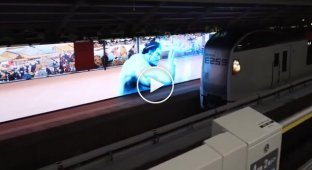 Борец сумо остановил поезд, чтобы спасти кота