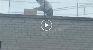Мужчина разводит пчел на крыше многоэтажки