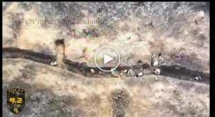 Бойцы 92-й бригады показывают и рассказывают, как уничтожали позиции оккупантов обычными дронами Mavic 3 под Бахмутом
