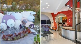 В Австралии продают дом-пузырь - хозяин 7 лет строил его своими руками (12 фото)
