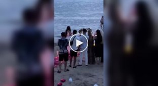 Смішні та веселі (короткі відео). Випуск 59