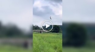 Запуск повітряного змія пішов не за планом