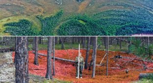 It became known which culture built the most ancient defensive structures in the world (4 photos)
