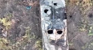 Луганская область, украинский дрон сбрасывает гранату в люк российской БМП-2