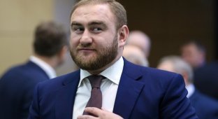 Сенатора от Карачаево-Черкесии Рауфа Арашукова задержали во время заседания Совета Федерации