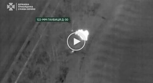 Пограничники уничтожили 2 замаскированные гаубицы Д-30 и их артиллерийский расчет на Запорожском направлении