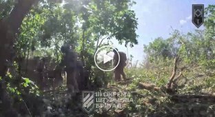 3rd Separate Assault Brigade fighters showed an assault on enemy positions and captured a Russian soldier in the Kharkiv direction